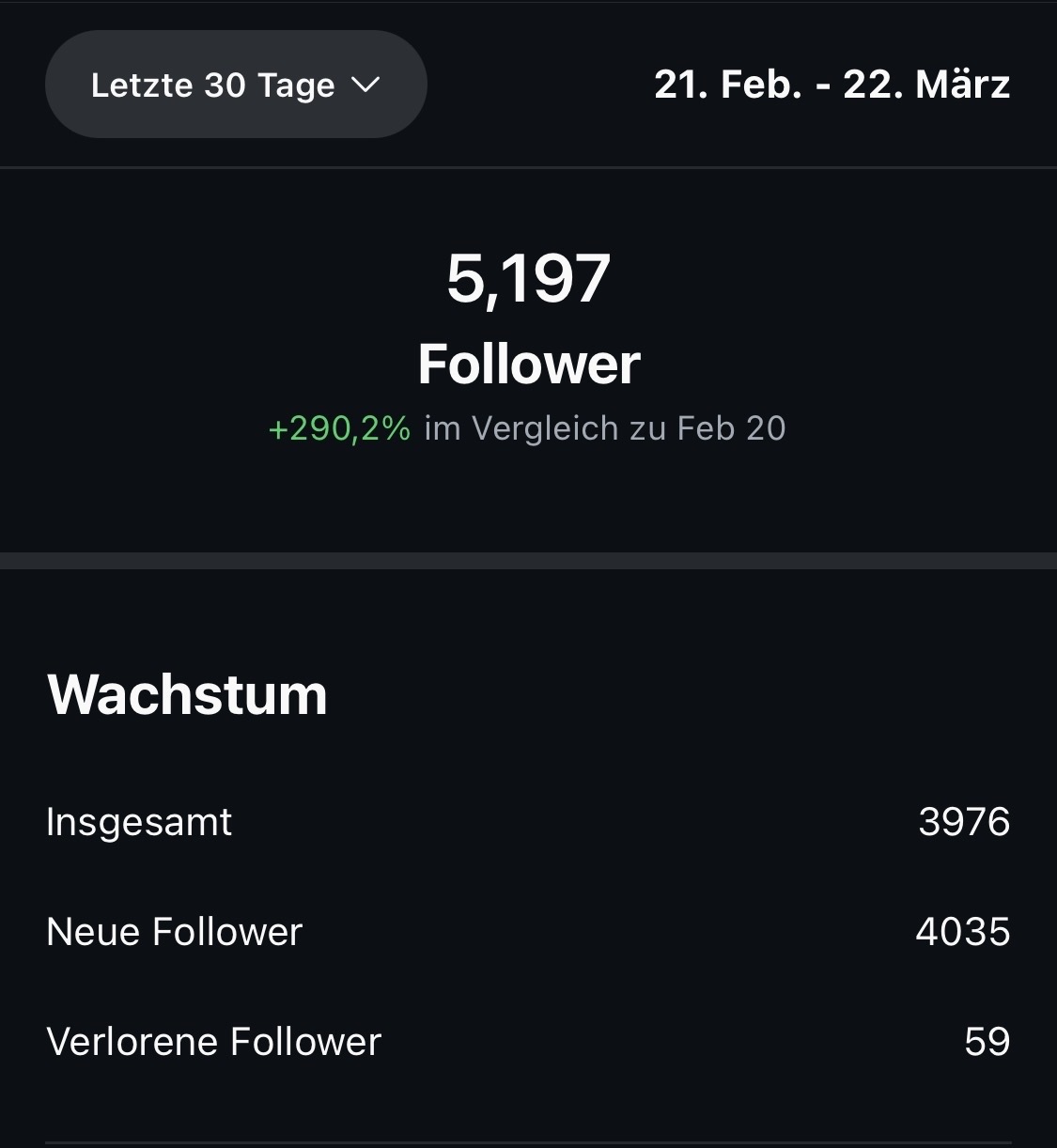 IG Follower